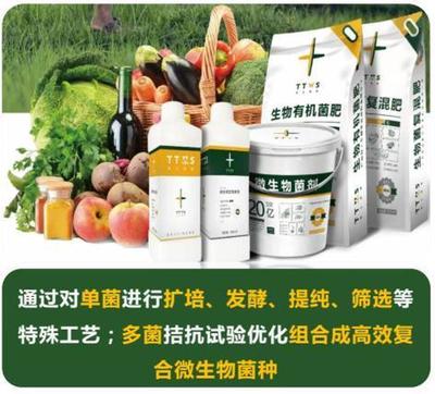 從辣椒加工到菌肥生產，她用五年搶占南方市場！_南方plus_南方+生物有機肥料研發