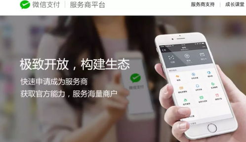 江蘇中理網絡科技 服務商定位、準入路徑與網絡技術服務解析
